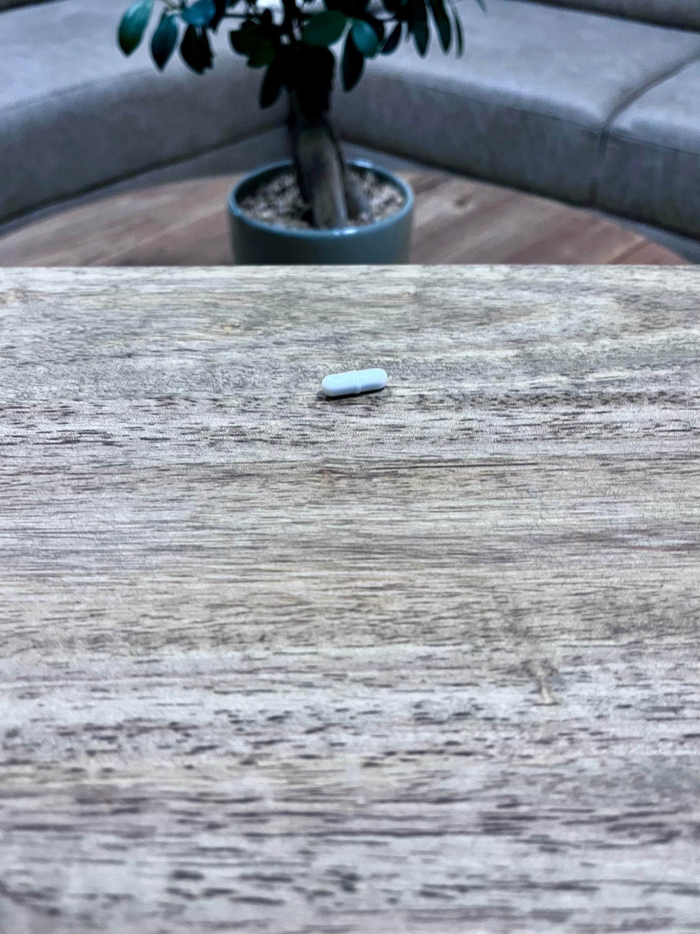 Motion Capsules™ (10 Pack)